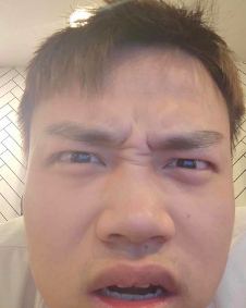 虎鹤新蕾